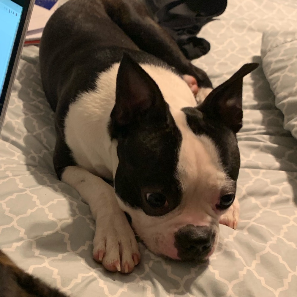 Meet your Posher, Noel